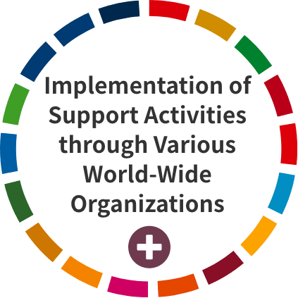 mplementation of Support Activities through Various World-Wide Organizations