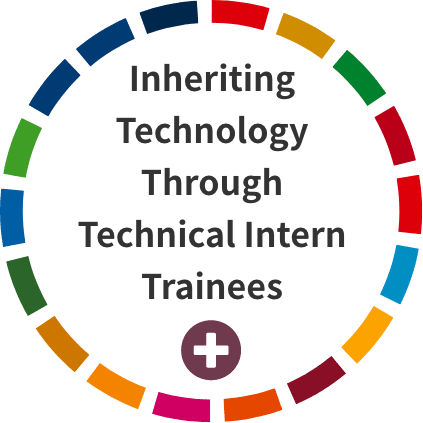 Inheriting Technology Through Technical Intern Trainees
