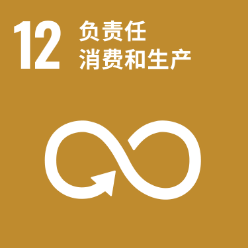 SDGsアイコン12